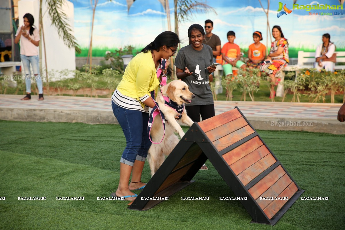 GHMC 2nd Loocafe Launch & Session on 'Safeguarding pets during Diwali' @ The Dog Park