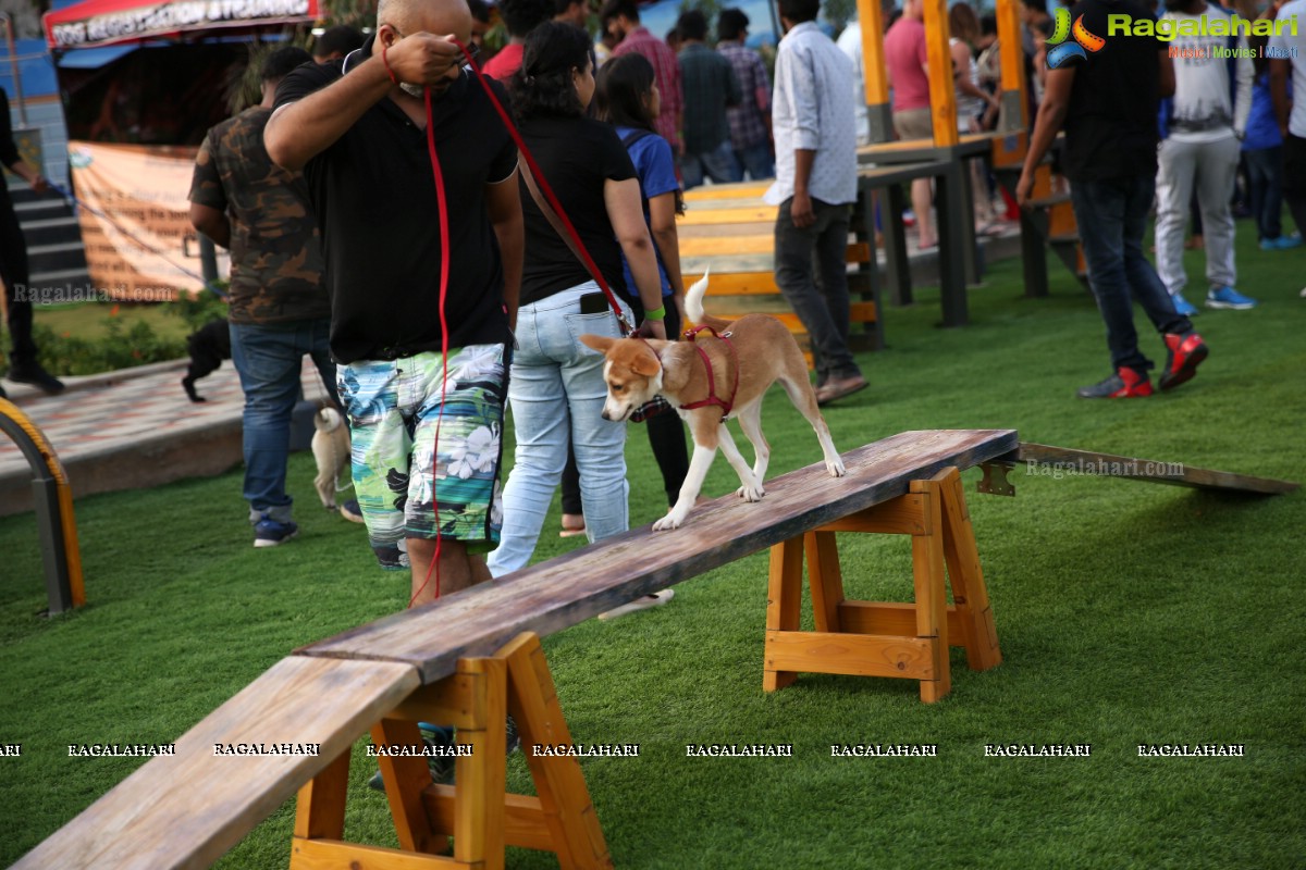 GHMC 2nd Loocafe Launch & Session on 'Safeguarding pets during Diwali' @ The Dog Park