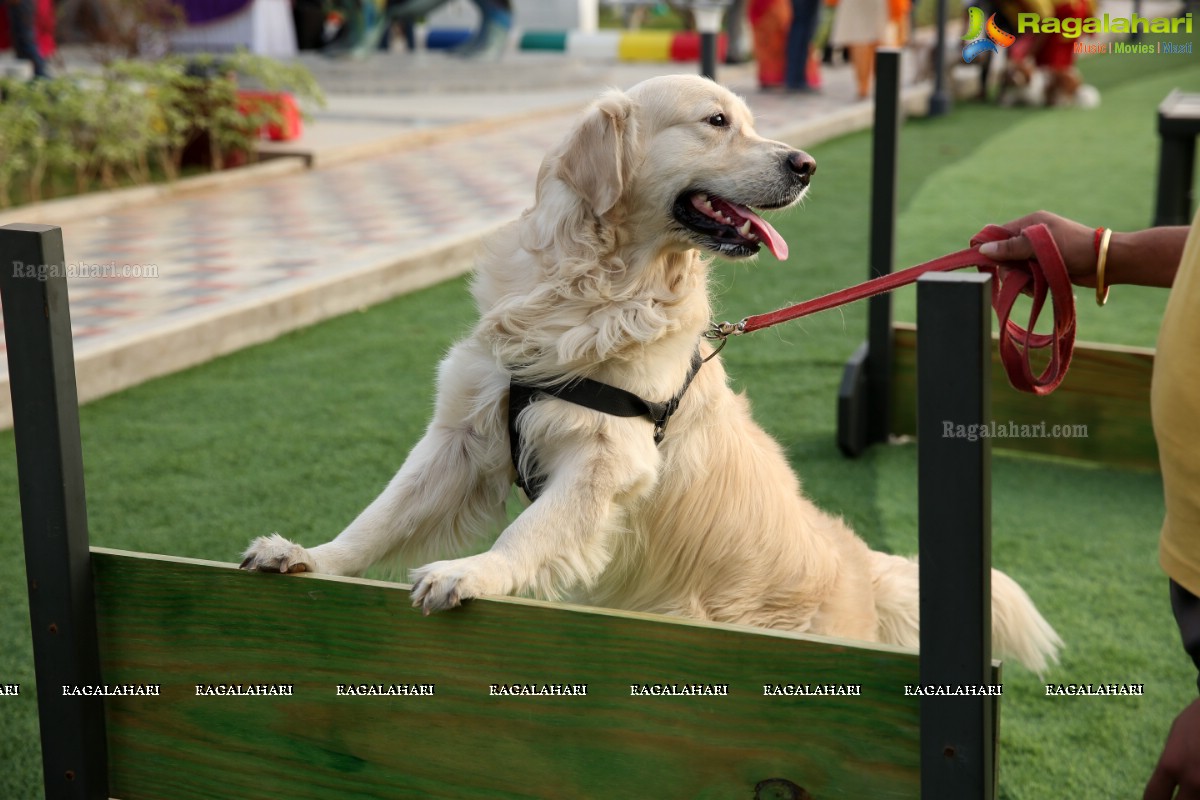 GHMC 2nd Loocafe Launch & Session on 'Safeguarding pets during Diwali' @ The Dog Park