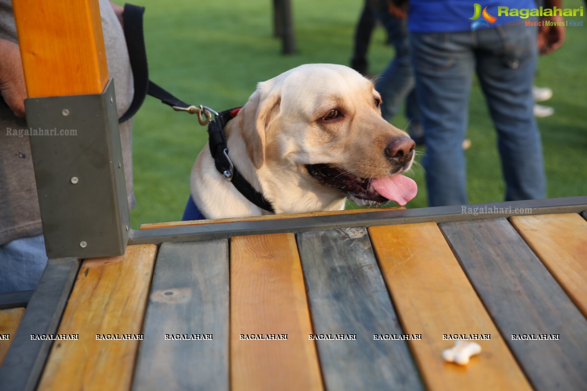 GHMC 2nd Loocafe Launch & Session on 'Safeguarding pets during Diwali' @ The Dog Park