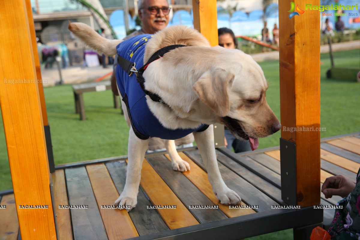 GHMC 2nd Loocafe Launch & Session on 'Safeguarding pets during Diwali' @ The Dog Park