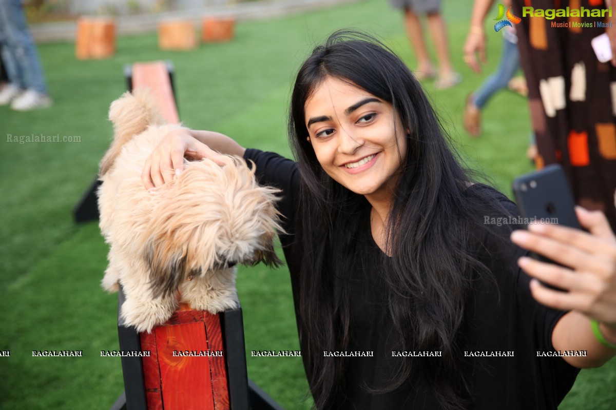 GHMC 2nd Loocafe Launch & Session on 'Safeguarding pets during Diwali' @ The Dog Park