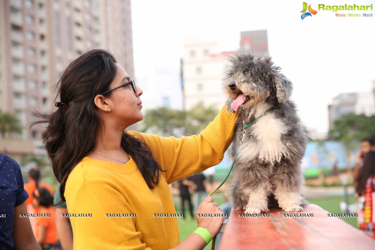 GHMC 2nd Loocafe Launch & Session on 'Safeguarding pets during Diwali' @ The Dog Park