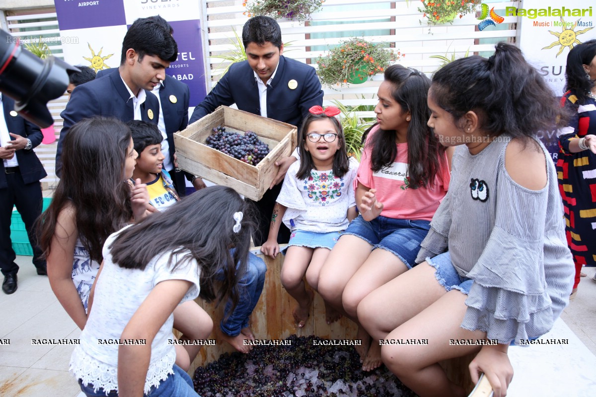 The Grape stomping & Cake Mixing Brunch at Novotel Hyderabad Airport