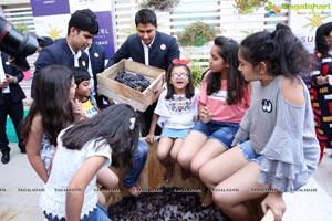 Novotel Hyderabad Airport's Grape Stomping & Cake Mixing