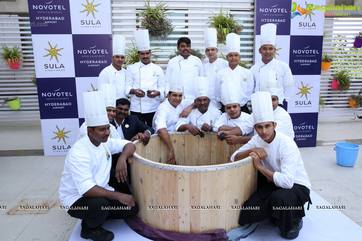 The Grape stomping & Cake Mixing Brunch at Novotel Hyderabad Airport