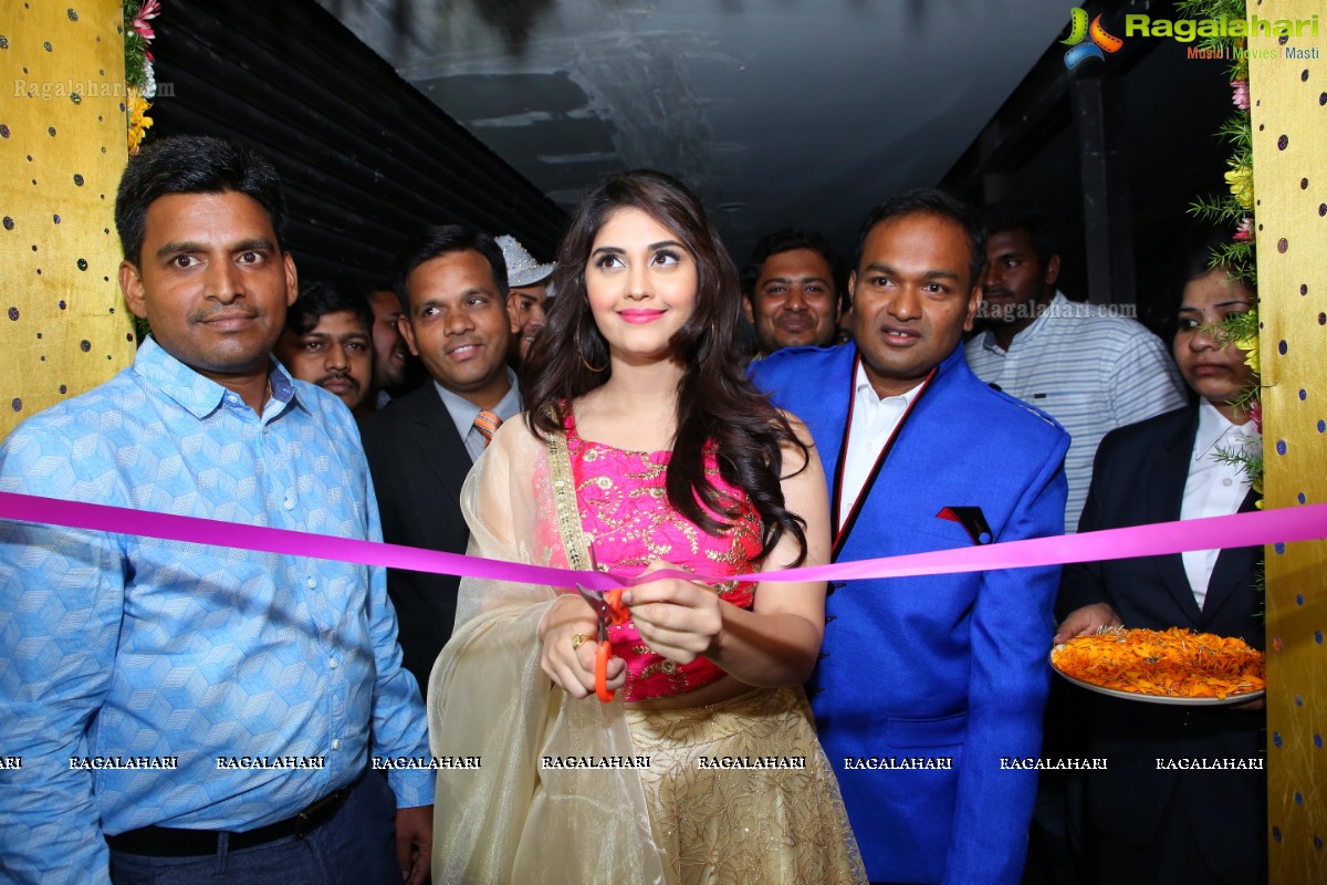 Surbhi Inaugurates Swadesh Multi Cuisine Fine Dining Restaurant @ Kothaguda, Hi-Tech City, Hyd