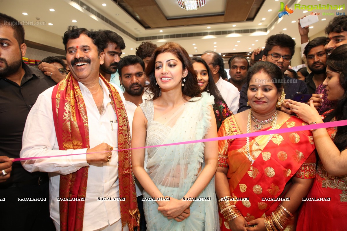 Heroine Pranitha Subhash & Naini Narshimha Reddy Launch Videms Silks @ Vanasthalipuram, Hyderabad