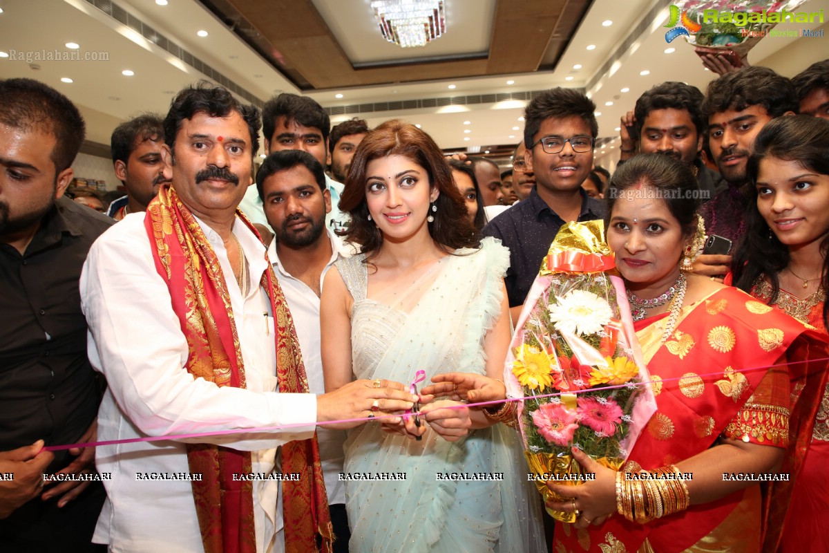 Heroine Pranitha Subhash & Naini Narshimha Reddy Launch Videms Silks @ Vanasthalipuram, Hyderabad