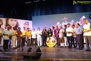 Bhagat Singh Nagar Audio Launch