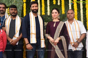 Gopichand-Tamannaah-Sampath Nandi Film Muhurat