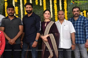 Gopichand-Tamannaah-Sampath Nandi Film Muhurat