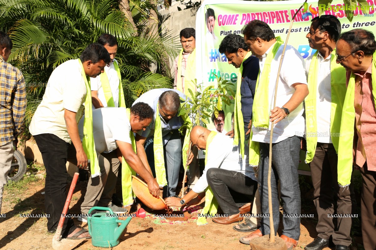 Greenindia Challenge Program