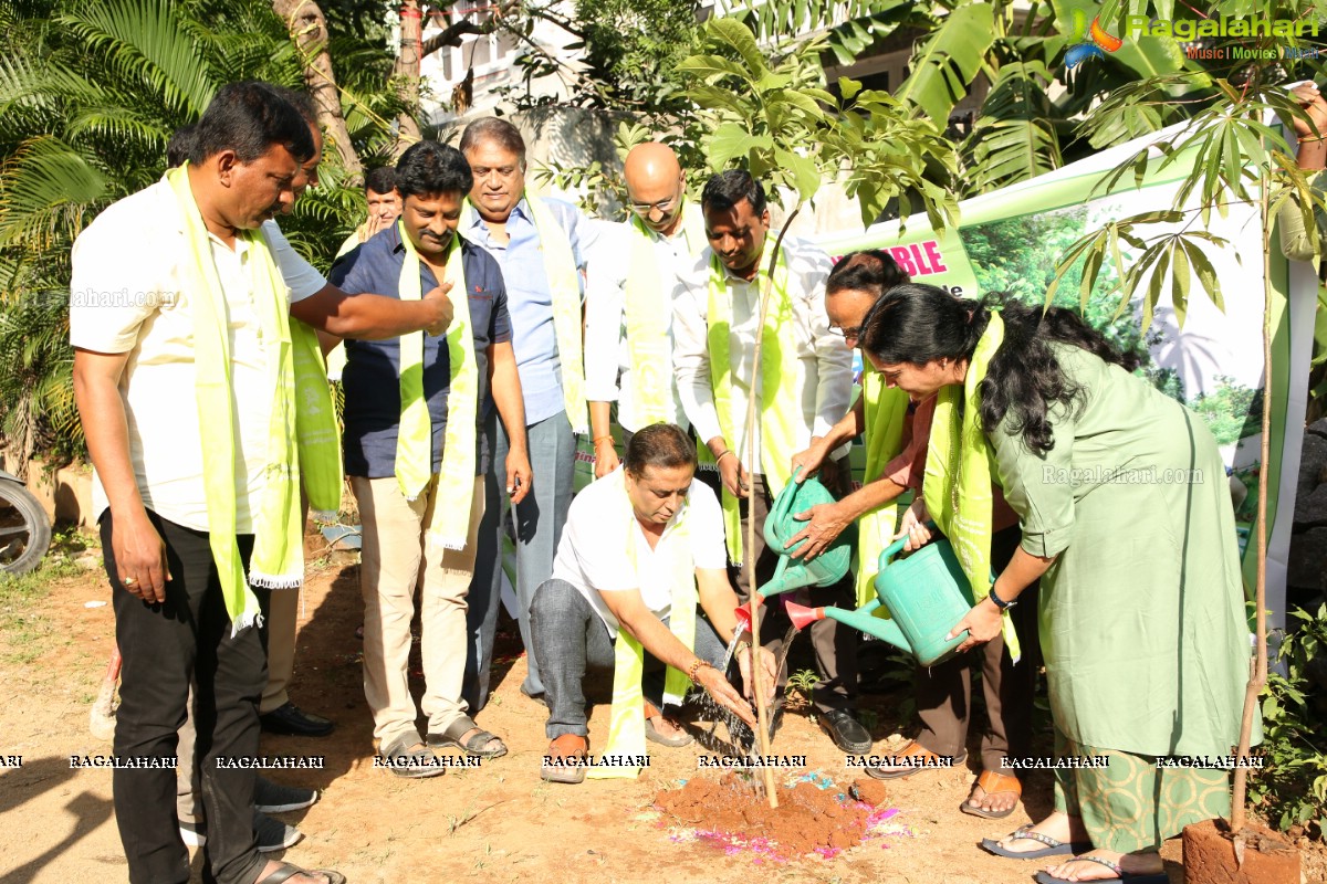 Greenindia Challenge Program