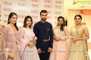 Neerus Majestic Diwali Collection Showcase