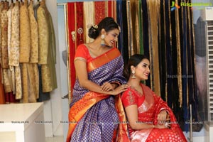 Neerus Majestic Diwali Collection Showcase