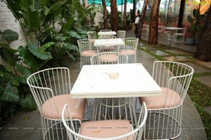 Tiger Lily - Cafe and Bistro