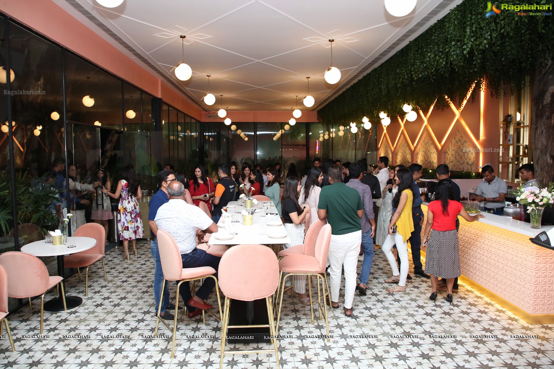 Tiger Lily - Cafe and Bistro Launch