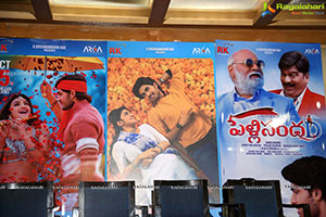 PellisandaD Movie Success Meet