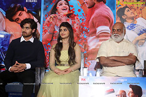 PellisandaD Movie Success Meet