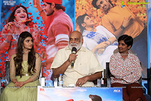 PellisandaD Movie Success Meet