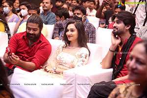 Varudu Kaavalenu Movie Sangeeth Event