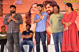 Varudu Kaavalenu Movie Success Meet