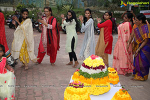 State Gallery of Art Bathukamma Event