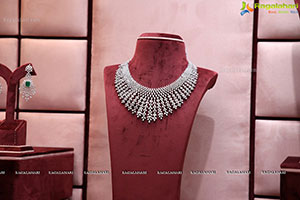 Vega Sri Gold And Diamonds Launch at Jubilee Hills