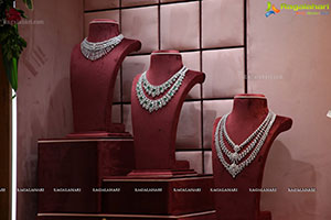 Vega Sri Gold And Diamonds Launch at Jubilee Hills