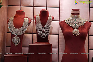 Vega Sri Gold And Diamonds Launch at Jubilee Hills