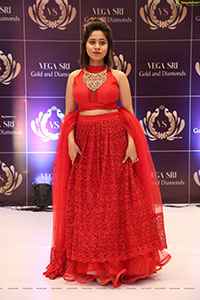 Vegasri Gold & Diamond Grand Preview Event at Jubilee Hills