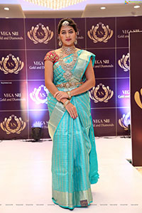 Vegasri Gold & Diamond Grand Preview Event at Jubilee Hills