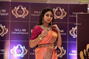 Vegasri Gold & Diamond Grand Preview Event at Jubilee Hills