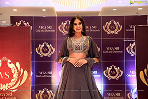 Vegasri Gold & Diamond Grand Preview Event at Jubilee Hills