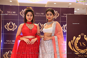 Vegasri Gold & Diamond Grand Preview Event at Jubilee Hills