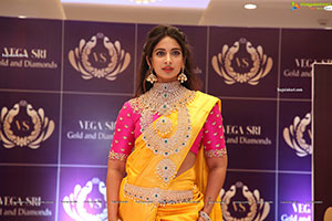 Vegasri Gold & Diamond Grand Preview Event at Jubilee Hills