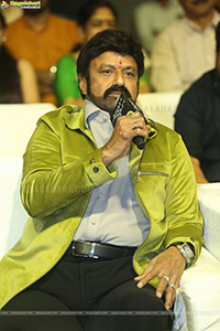 Urvasivo Rakshasivo Movie Pre-Release Event