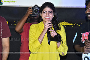 Janaka Aithe Ganaka Movie Premiere Show at Vijayawada