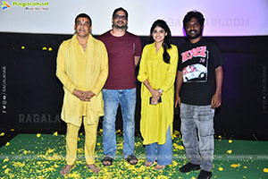 Janaka Aithe Ganaka Movie Premiere Show at Vijayawada