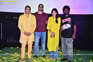 Janaka Aithe Ganaka Movie Premiere Show at Vijayawada