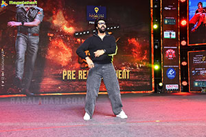 Mass Jathara Movie Pre Release Event 