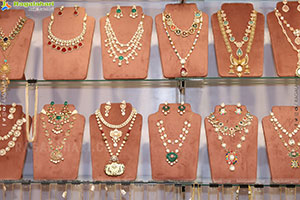 Hi Life Brides Exhibition Grand Launch Event, Hyderabad