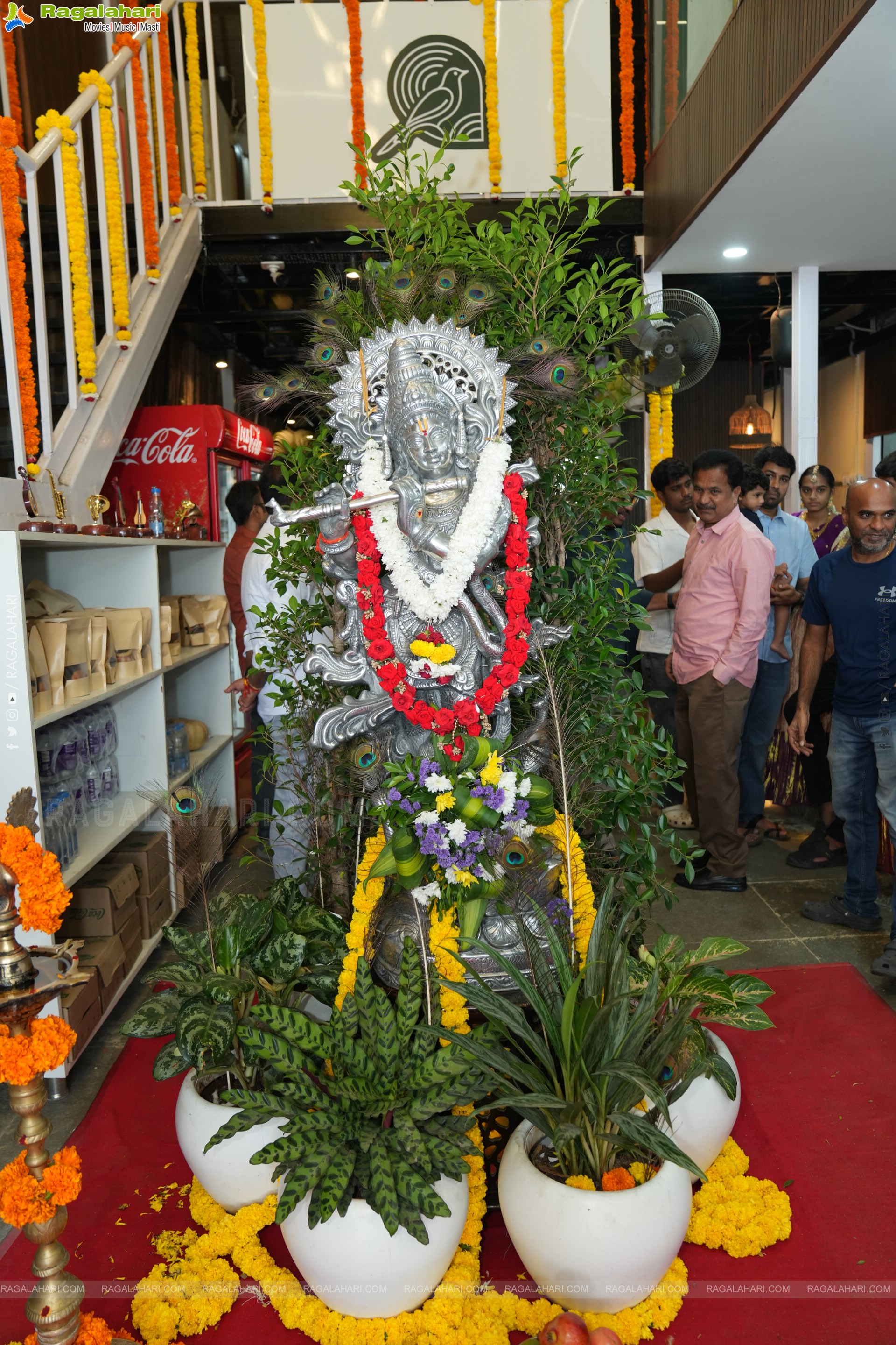 The House of KOYILAA: A One-Stop Destination for Food Lovers at Madhapur, Hyderabad 