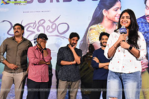 Thella Kaagitham Movie Success Press Meet