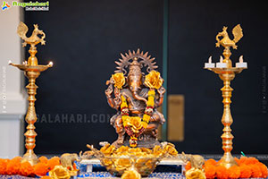 Charlotte Michigan Telugu Communities Cultural Programs