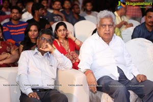 Telugu Cinema Majnu Audio Release