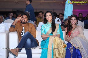 Telugu Cinema Majnu Audio Release