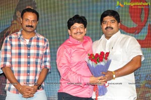 Siddhartha Success Meet