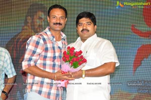 Siddhartha Success Meet